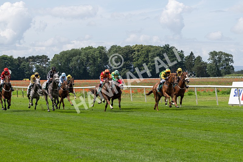 260724-Graham Lee Stable Staff Stakes-3388 - Graham Lee Stable Staff Stakes
