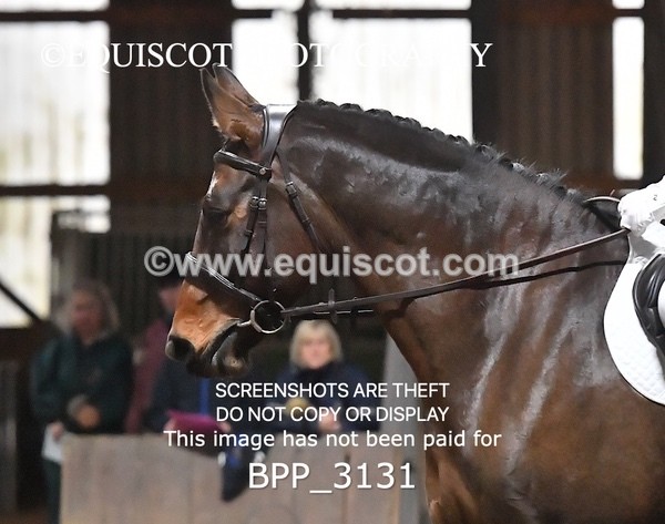 BPP_3131 - INTRO TEST 3