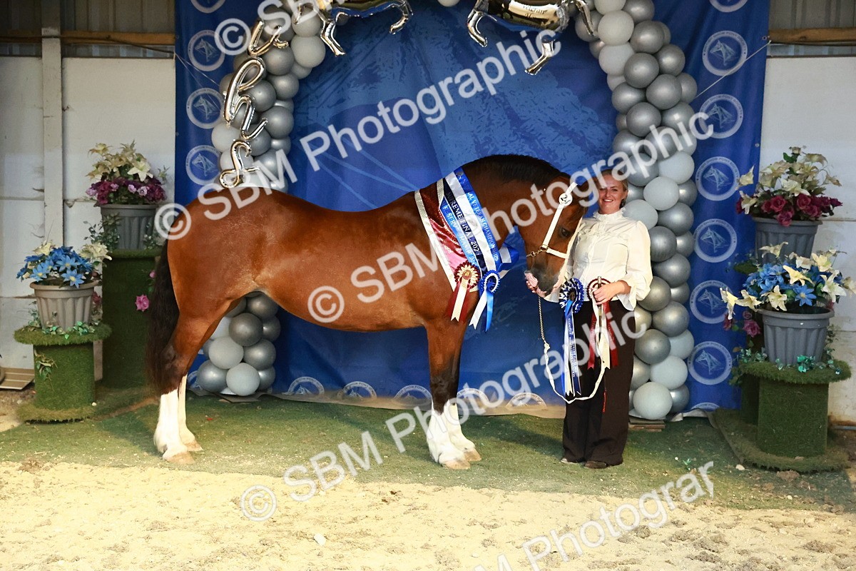 SBM_17982 - M&M Supreme Final Champ