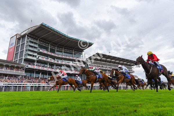 270724-Race 1-Night On Earth-1242 - Race 1 2.05pm Sky Bet 'Jump Jockeys' Nunthorpe' Handicap