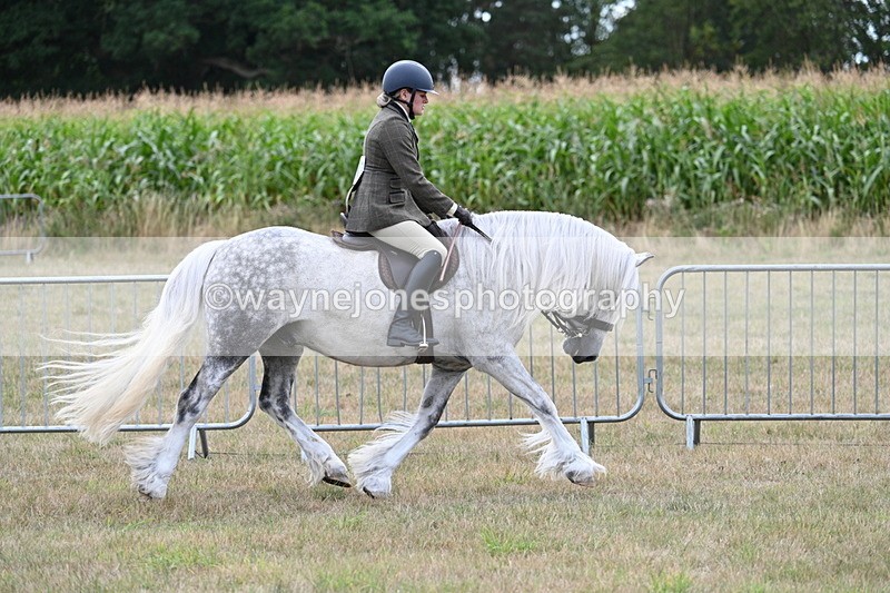 WJ7_5262 - Class 12 Ridden Cob