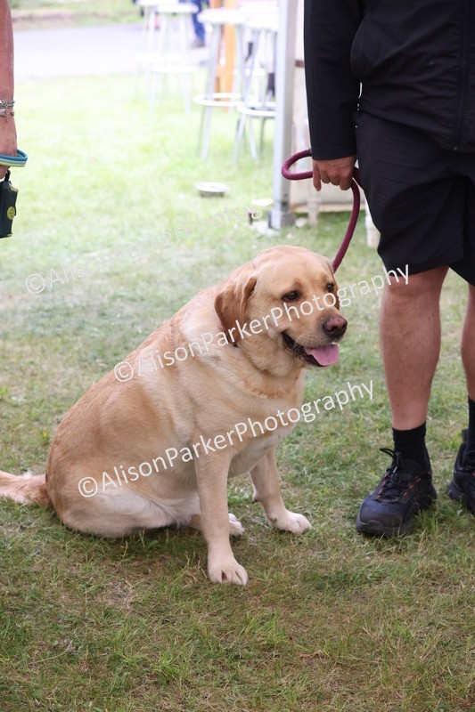 20250607-0180 - Class 3 - Fabulous Fella