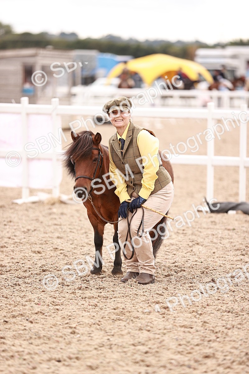SBM_16922 - Class 415 - Horse-Pony Judge would most like to take home