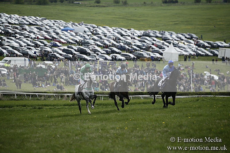 PtP 170417 65 - Old Berks Point-to-Point Lockinge 17/04/17