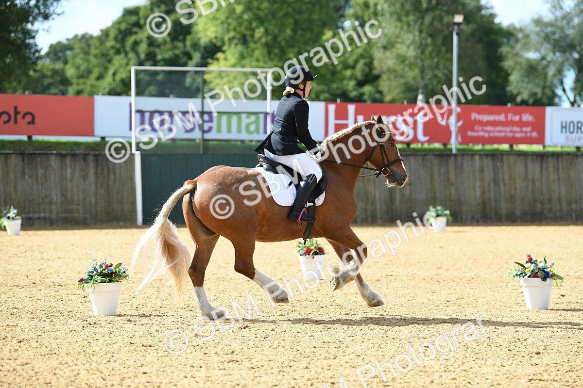 SBM_03122 - D7 Small Tour Championship Prelim 1