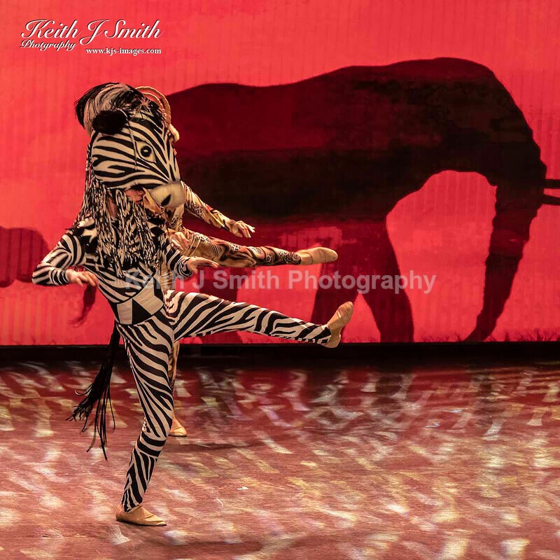 6KJS0330 - Ambition show team