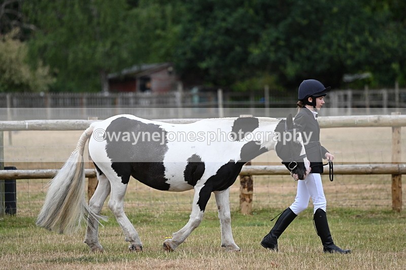 WJ6_4148 - Class 10 Coloured In-hand