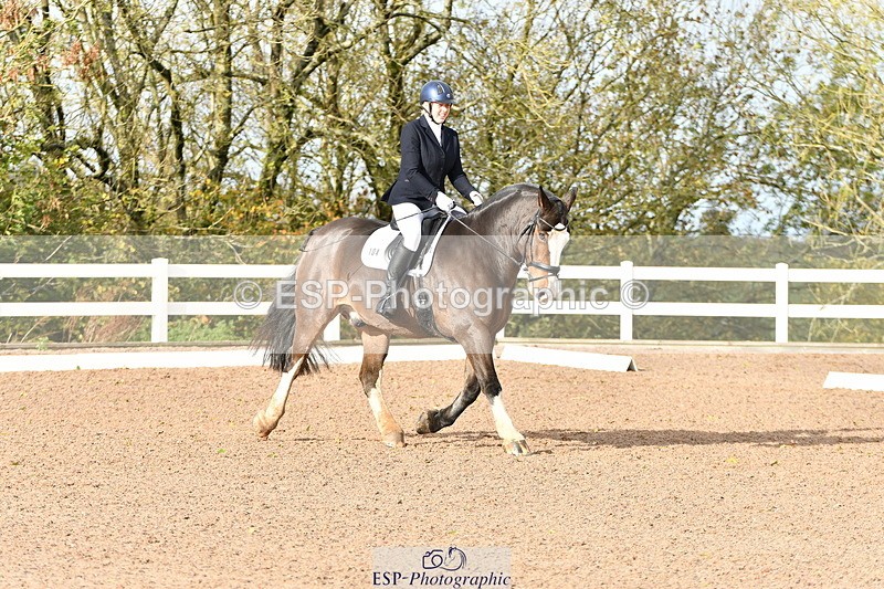 231104A-113534-00238 - Cls 7 Elementary 43