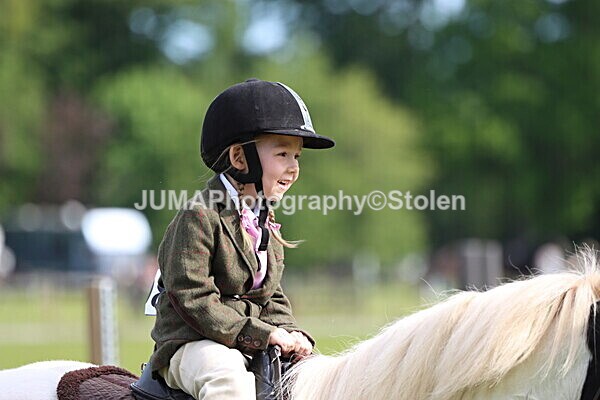 IMG_2188 - Working Hunter