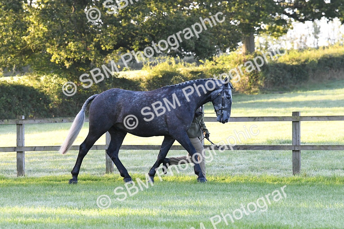 SBM_32492 - S15 - Condition & Turnout In Hand