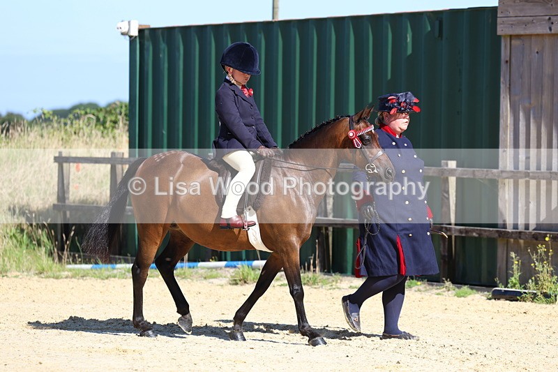 3E7A7880 - Class 14: Tack and Turnout