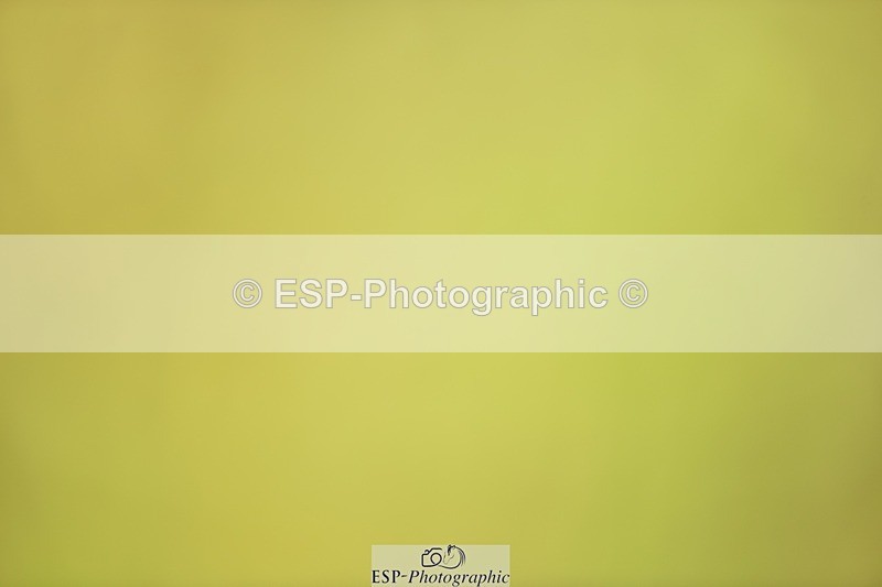 240523B-131744-02365 - 5 Year Old