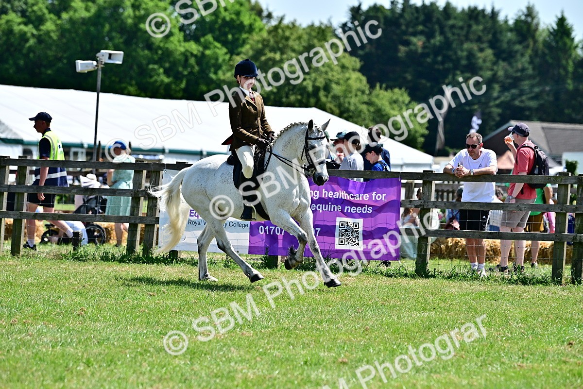 SBM_15381 - Class 95-97 - BSPS LHS Performance Ponies