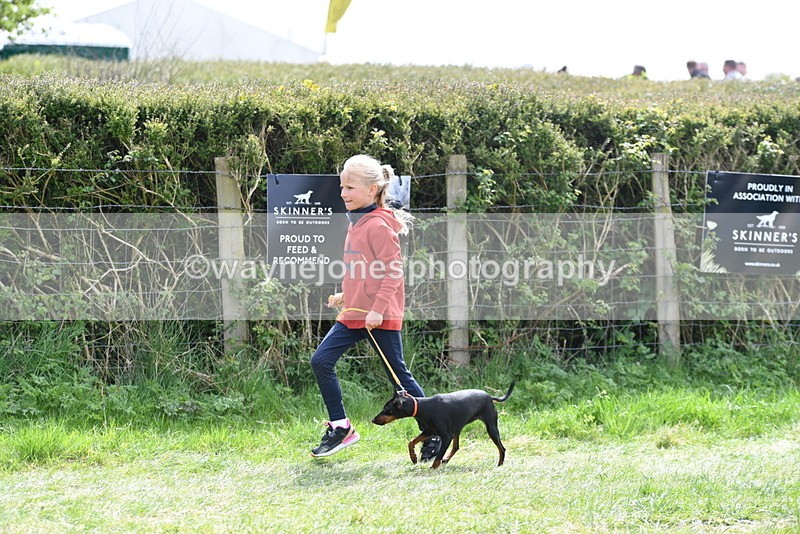 WJ5_0607 - Class 7 Best Terrier