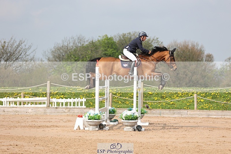 250424-104239-03180 - Cls 33 Young Horse 7yr old