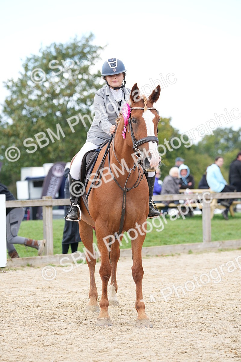 SBM_21356 - J49 - Open 50cm