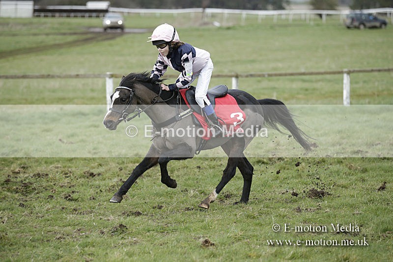 PtP 150320 0797 - New Forest Point-to-Point Larkhill 15/03/20