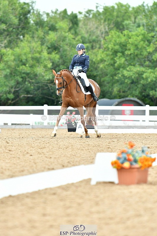 230701A-133657-06511 - Cls 10 Medium 69