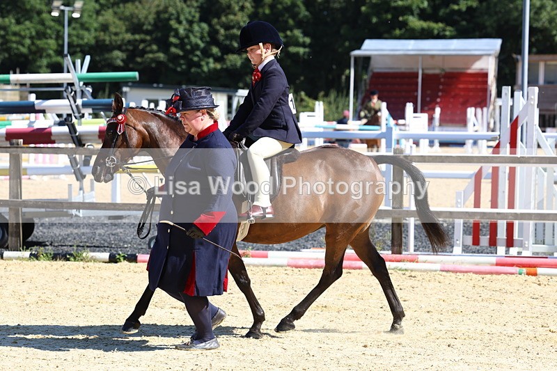 3E7A8045 - Class 15: Lead Rein