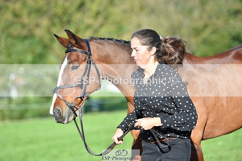 231022-101522-22350 - 470-DVΓÇÖS.ROCKY-Lauren.Collard-TrotUp+SJ