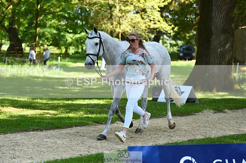 230524-155526-00552 - 203-DHI_CHILLI_START-Sophie_Hodgson-WEDTrotUp+DR