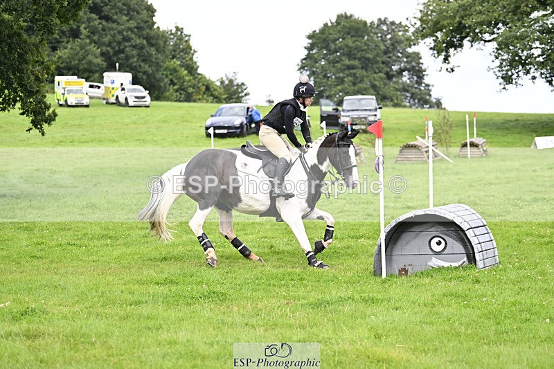 240804-163317-17999 - 671-Rosie_Ashforth-PABLO_PICASSO