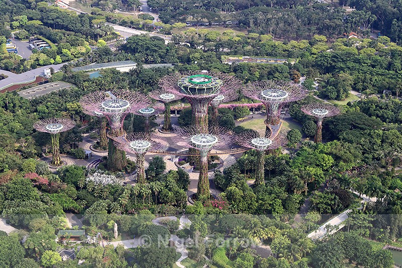 Supertree Grove from Sands Skypark, Singapore - Singapore