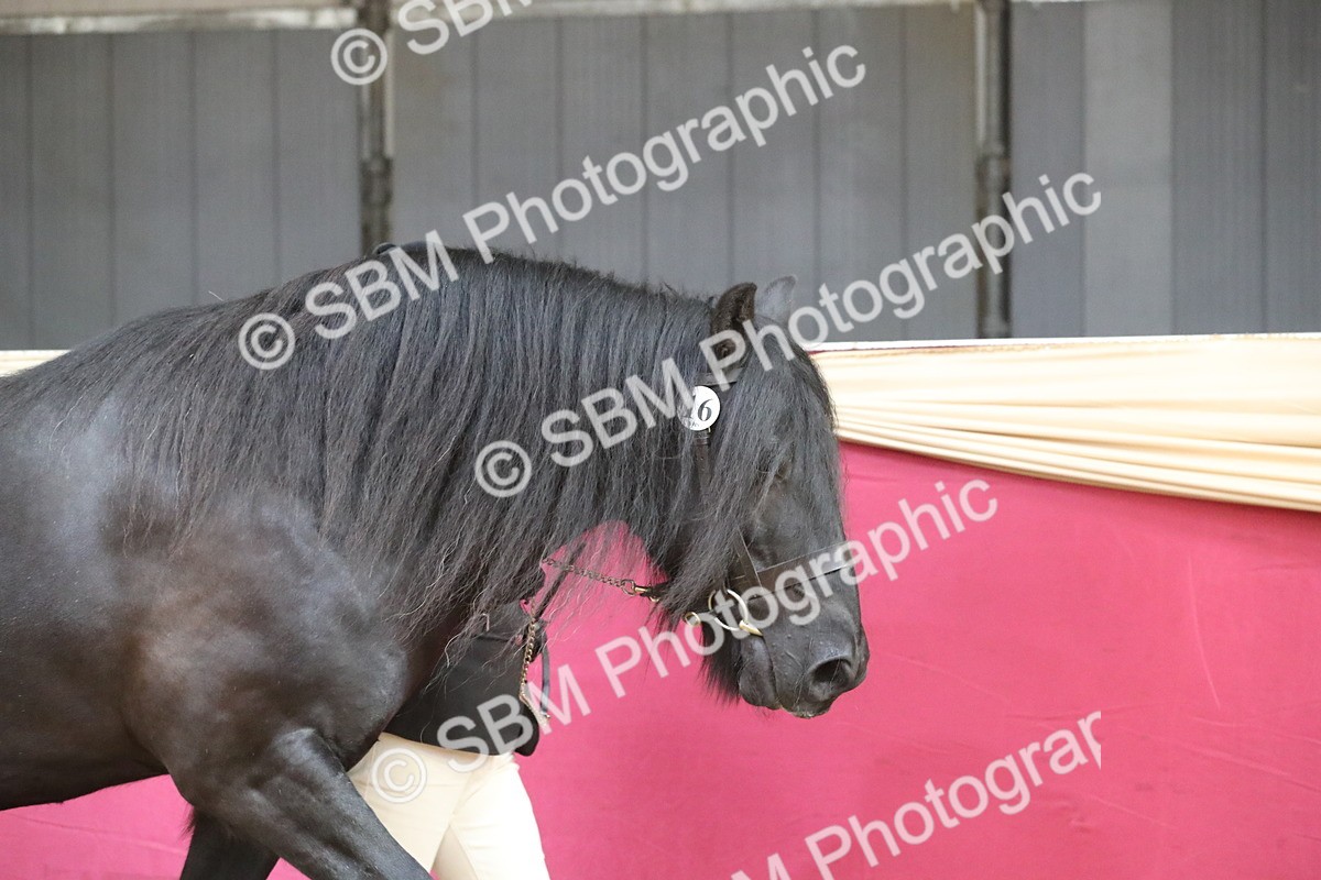 SBM_15106 - Class 501 M&M IH Supreme Final