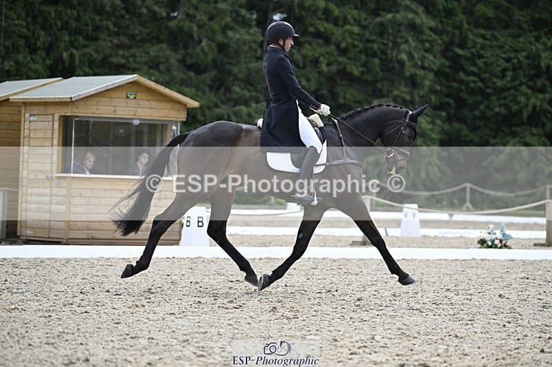 000101-190712-03854 - 426-VISCOUNT_VIKTOR-Tim_Price