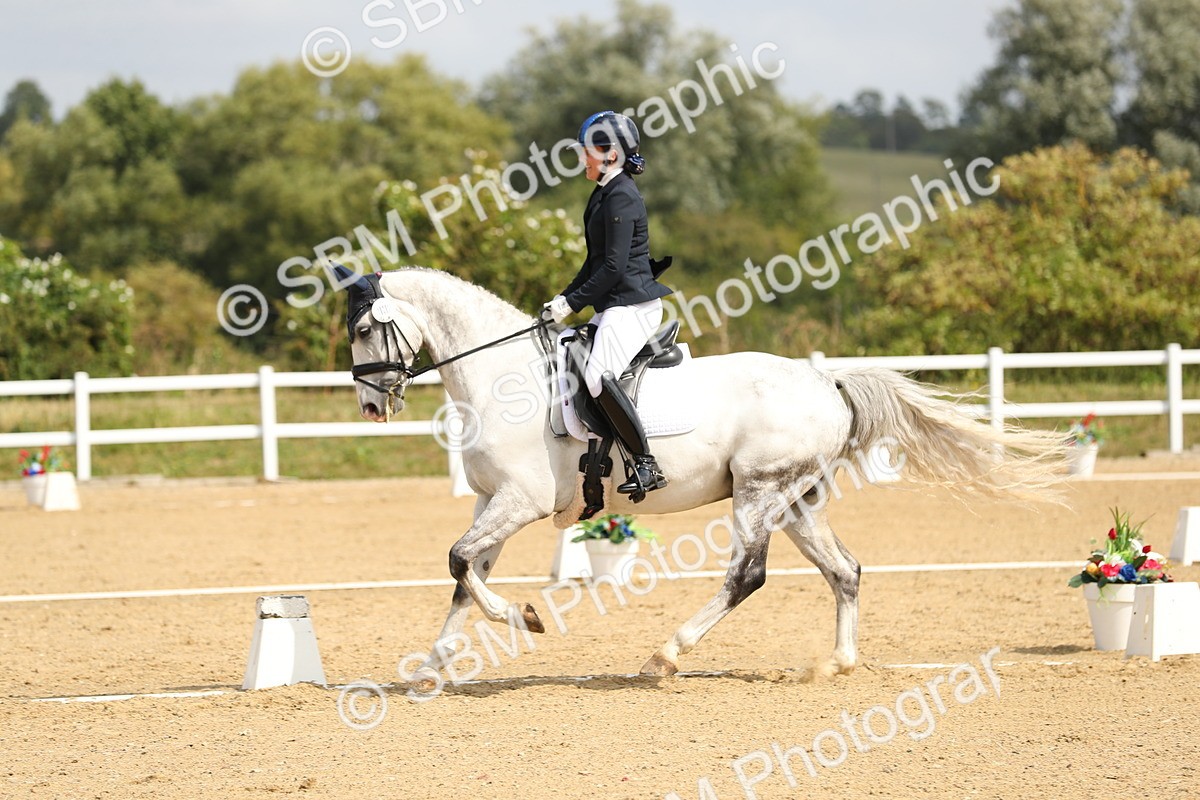 SBM_016411 - Class 13 - Novice 23 - 11.25-12.35