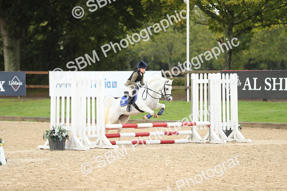 SBM_34194 - J60 Clear Round 50cm