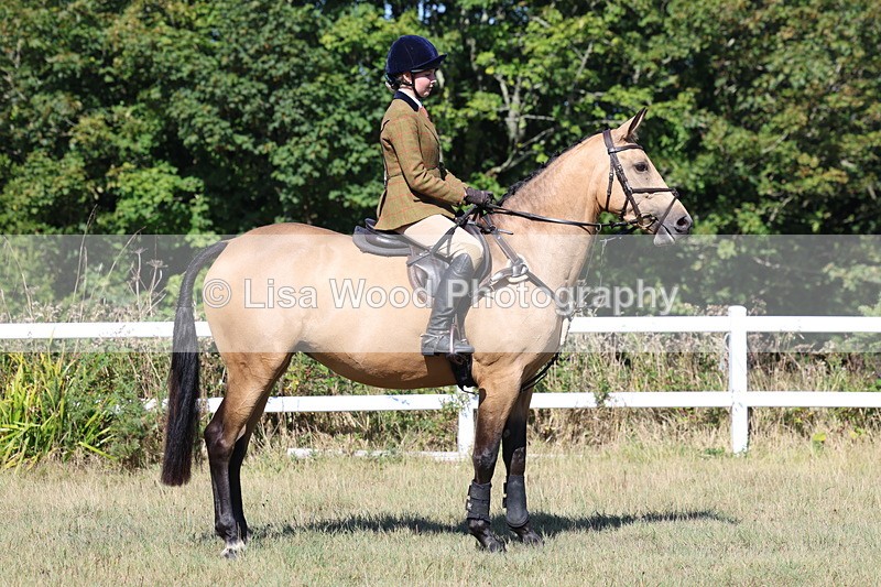 3E7A5804 - Class 5: Working Hunter 90cm