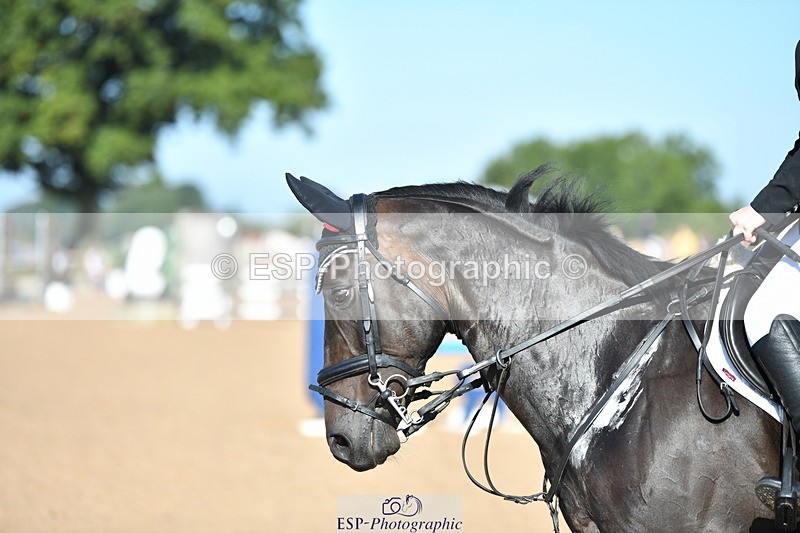 230903A-101926-03659 - Cls 12 95cm Amateur Quali