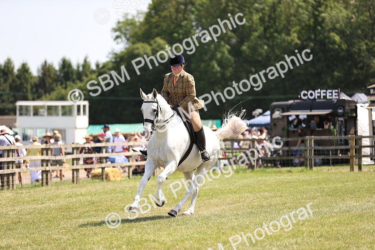 SBM_16119 - Class 79-80 - LIHS BSHA Rising Star Ridden Hunter