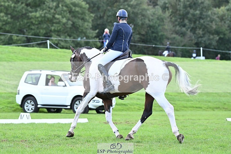 231020-145158-11006 - 669-FOXRIDGE.HIGH.JINX-Claire.Deuten-DR