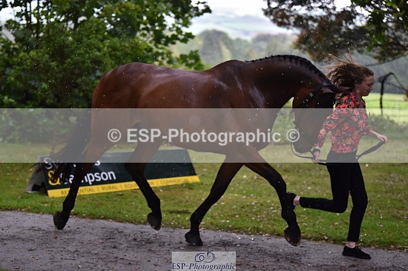 240522-152926-00377 - 360-JELSON-Lucy_Collecott