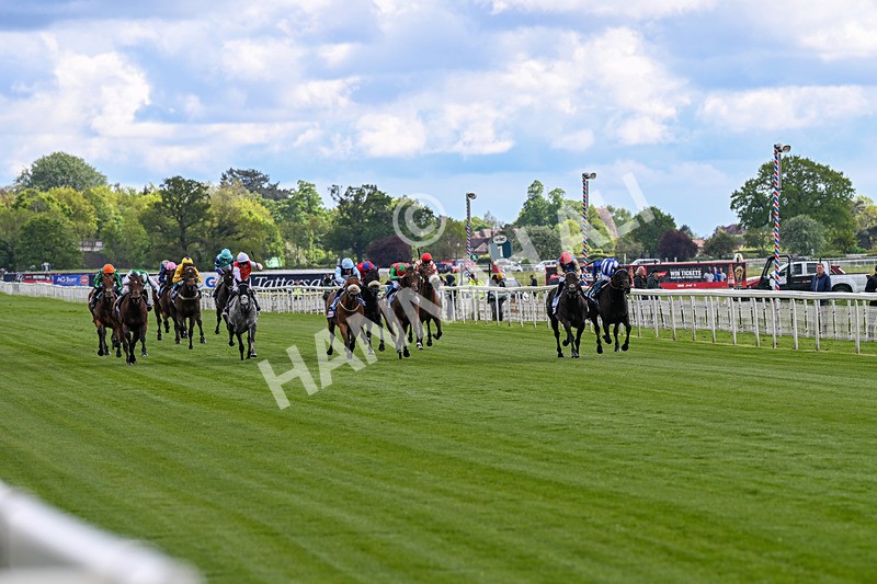 130526-Race 4-Elmonjed-2960 - Race 4 3.30pm Go Local Stores Minster Stakes