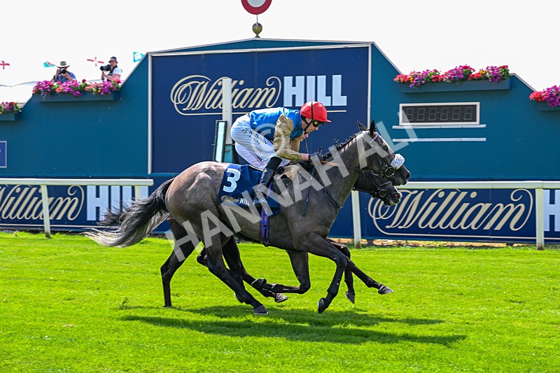 100726-Race 2-Flora Of Bermuda-9675 - Race 2 14.45pm William Hill Summer Stakes
