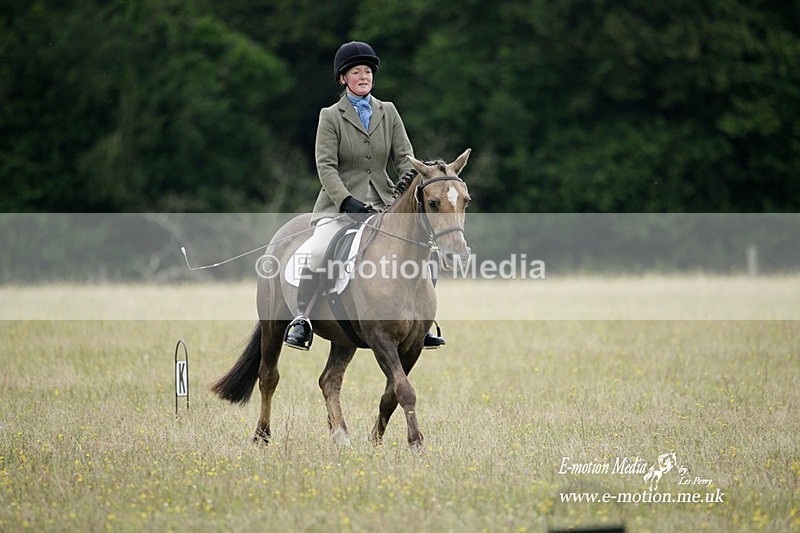 BVRC 030721 354 - Bourne Valley Riding Club Dressage 03/07/21