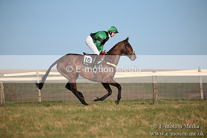 PtP 230219 503 - Vine & Craven Point-To-Point - Barbury 23/02/19