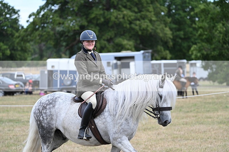 WJ7_5442 - Class 12 Ridden Cob