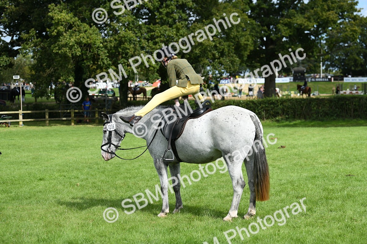 SBM_46883 - S12 - Family Horse & Pony