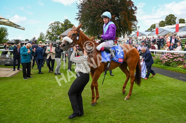 240824-Race 1-See The Fire-0392 - Race 1 1.50pm Sky Bet Strensall Stakes