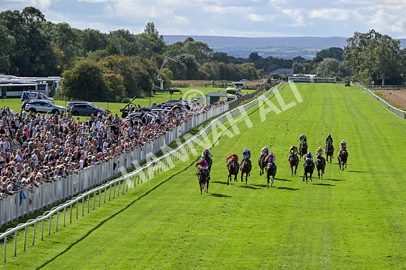 050926-Race 3-Dontlookanyfurther-3447 - Race 3 2.40pm British Stallion Studs EBF Restricted Novice Stakes
