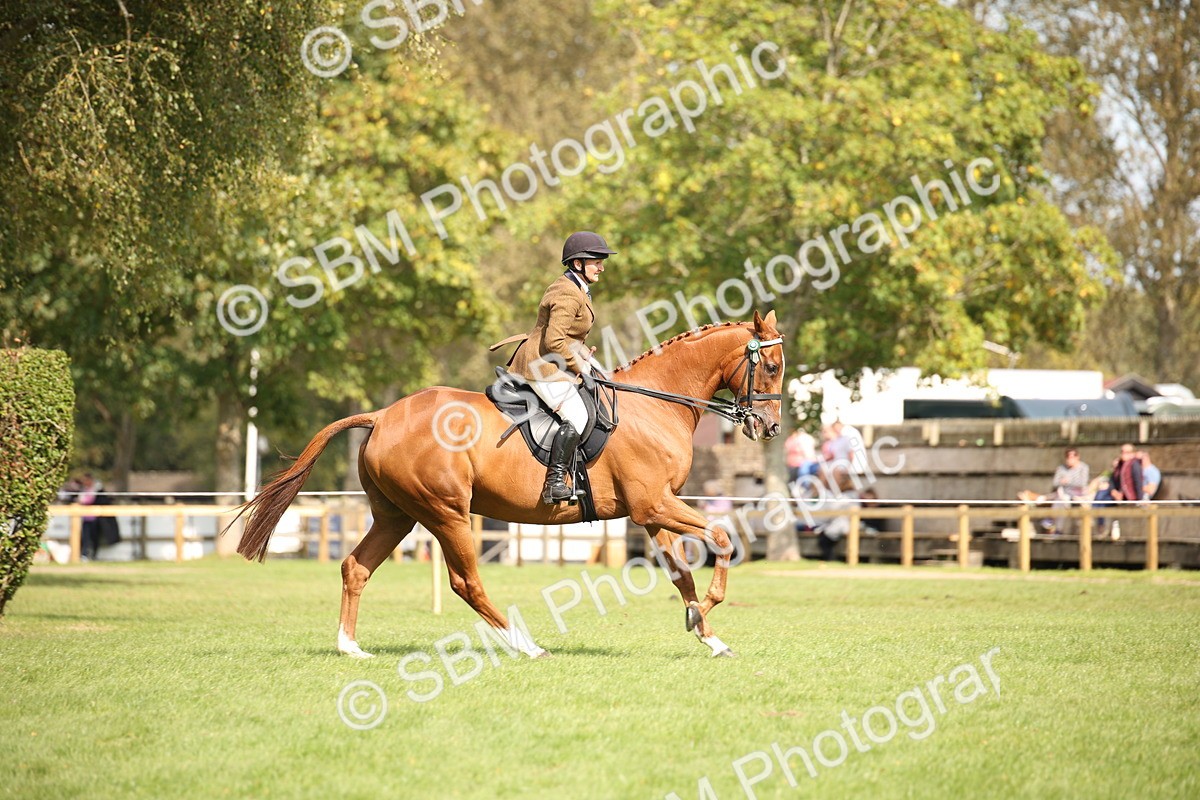 SBM_65971 - S64 - Riding Horse & Hack & Thoroughbred Ridden