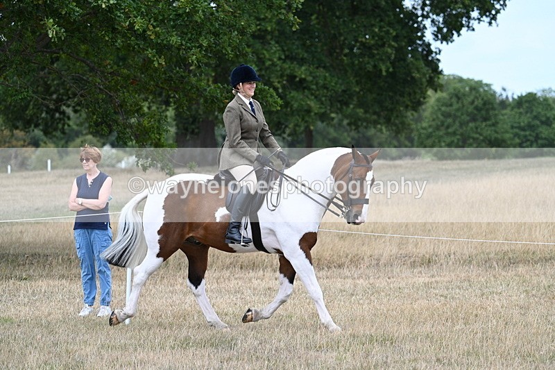 WJ7_4834 - Class 12 Ridden Cob