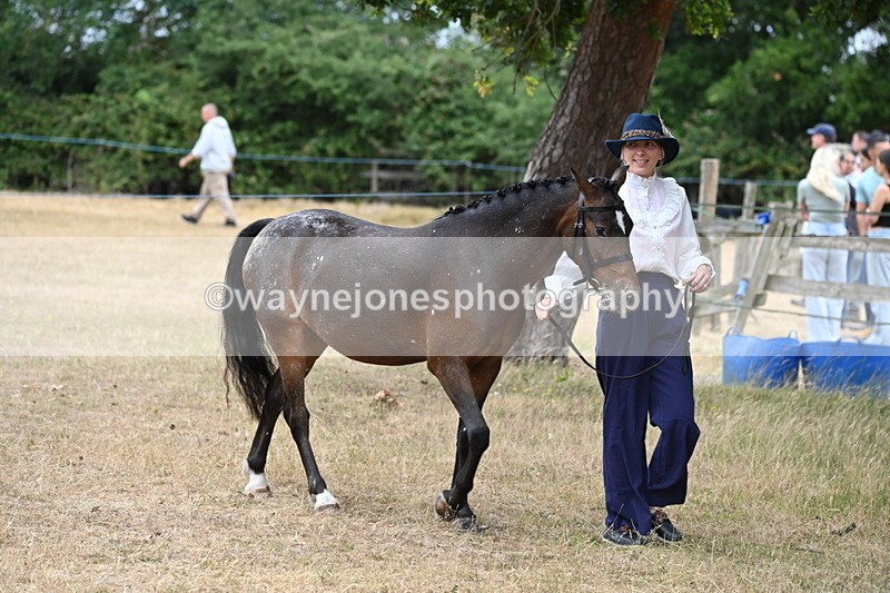 WJ6_7957 - Class 10 Coloured in Hand