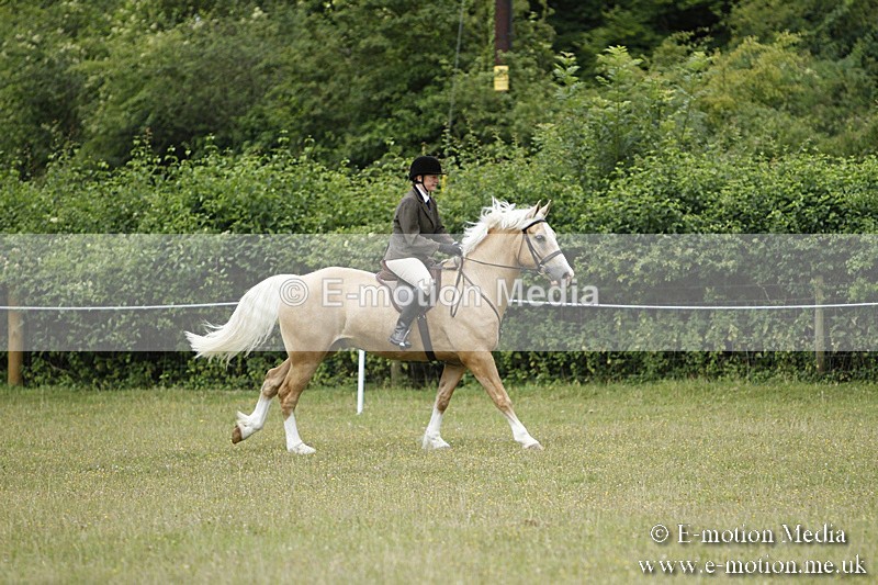 BVR160717-102 - Ring 3 BVRC Show 16/07/17