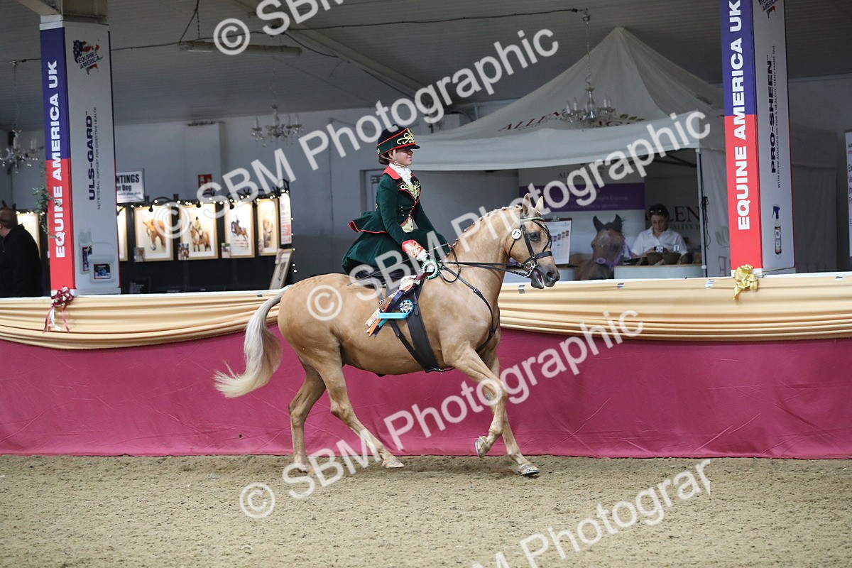 SBM_11645 - Class 105 Ridden Costume- Side Saddle