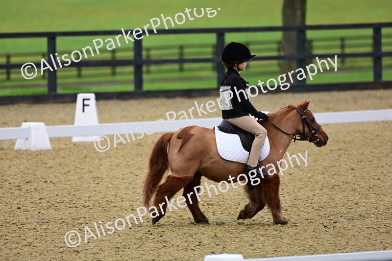 20260125-0566 - Class 9b - Walk Trot Unassisted